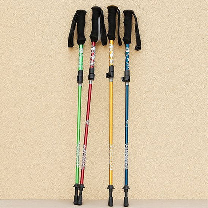 bâton de marche vert rose jaune bleu contre mur